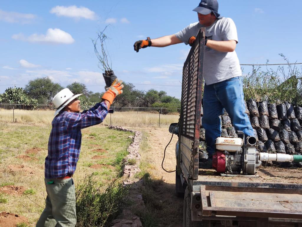 PRAMSEI - Proyectos: Programas de reforestación y reubicación