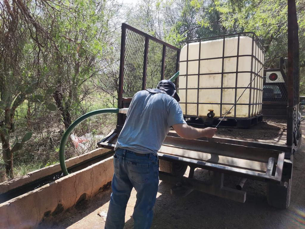 PRAMSEI - Proyectos: Programas de reforestación y reubicación