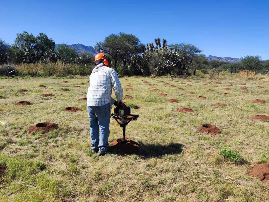 PRAMSEI - Proyectos: Programas de reforestación y reubicación