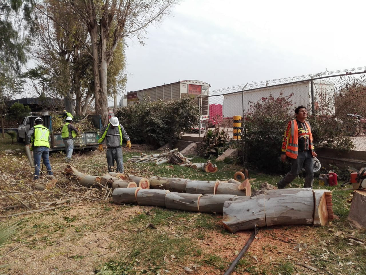 PRAMSEI - Proyectos: Programas de reforestación y reubicación